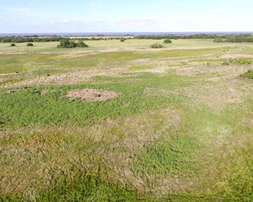 Campo en Venta 613 Has Agrícolas en Venta en Magdalena