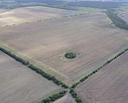 150 Hectáreas Agrícolas en Gualeguaychú.