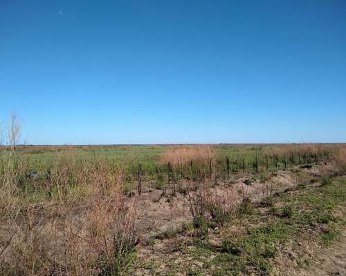 Vendo Campo Agricultura-malbran S,e,