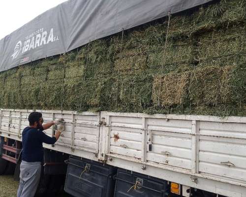 Vendo Fardos de 1ra Calidad en Abasto,la Plata