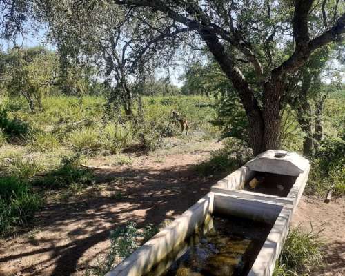 Campo Agricola Ganadero Ferlot en Catamarca