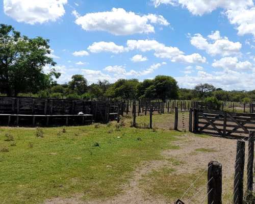 Buscamos Comprar - Estancia Ganadera Hasta 4000 Has