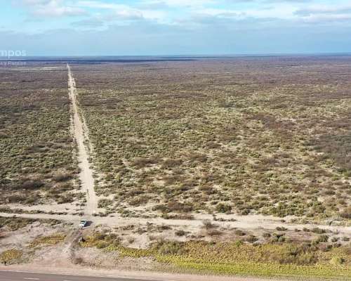 Se Vende Campo Ganadero de 3500 Ha en Mendoza, Argentina
