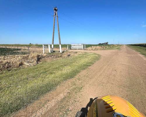 Limpieza de Alambrados – Desmalezado- Cortado de Pasto