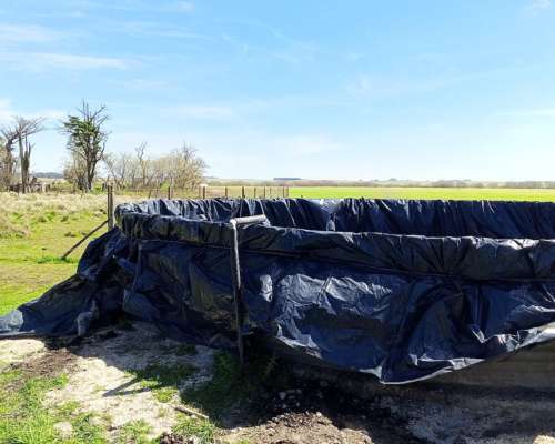 Molineria/ Mantenimiento en General Olavarría y Zona