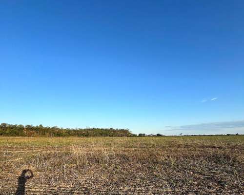 Campo en Venta Embarcacion- Salta
