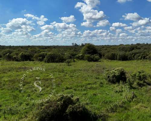 Ambrosetti, Santa FE. Venta 72 HA. Campo Mixto.