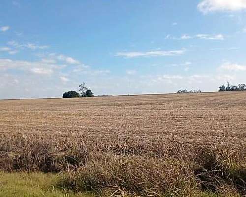 Campo en Zona Núcleo Santa FE