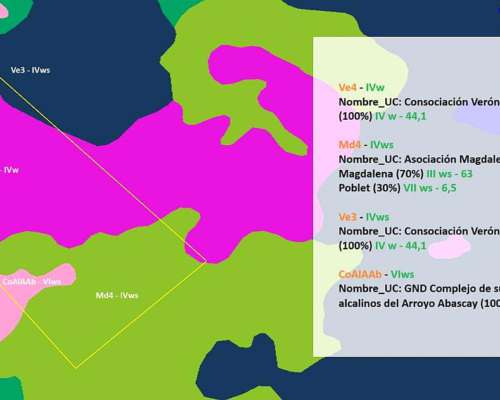 Campo en Venta de 241 Has en Venta Magdalena