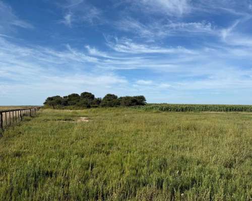 Vendo Importante Campo en Santa Rosa la Pampa