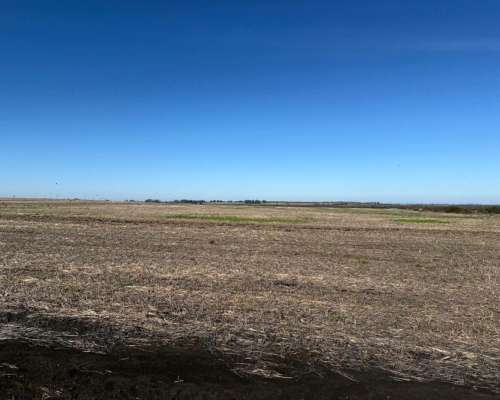 Excelente Campo Mixto Sobre Ruta en DTO Uruguay, Entre Rios.