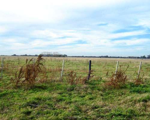 Brandsen, Buenos Aires - 284 Ha