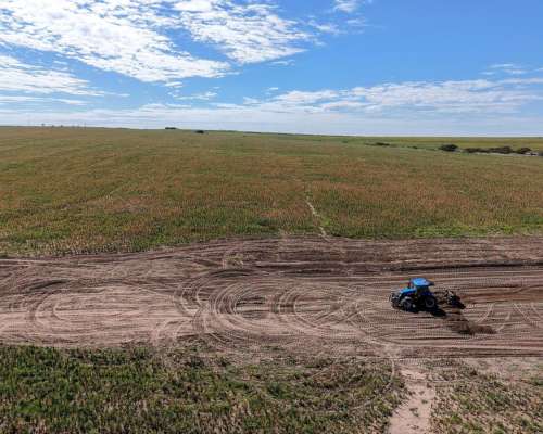 Las Vizcacheras, Pedernera, San Luis - 266 Ha