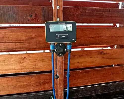 Balanza Electrónica para Pesaje de Hacienda