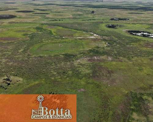 785has Mixtas en Venta en Carlos Casares