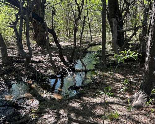 San Francisco Rio Gomez Chacra 4 Has