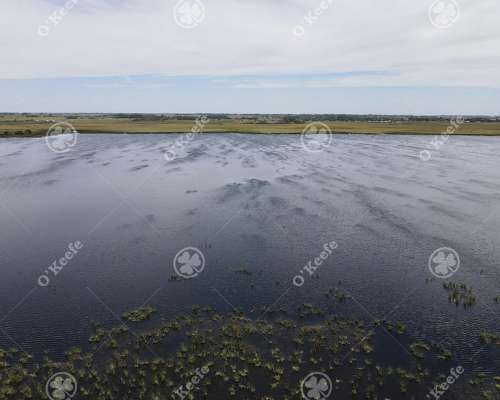 530 Has en Lezama - Hermosas Vistas a la Laguna