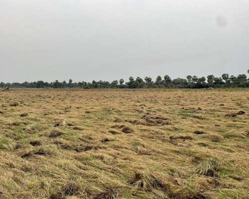 1.800ha Agricolaganaderas en General San Martin, Chaco