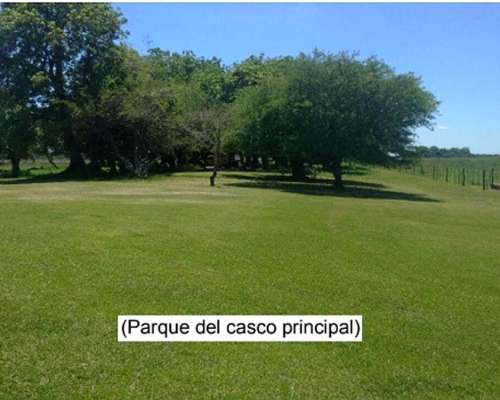 Campo 4168ha Mixto - San Luis del Palmar Corrientes