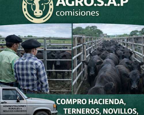 Compro Hacienda Todas las Categorias Bahia Blanca y Zona