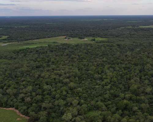 Chaco Castelli 750 Has Ganaderas Dolar Oficial