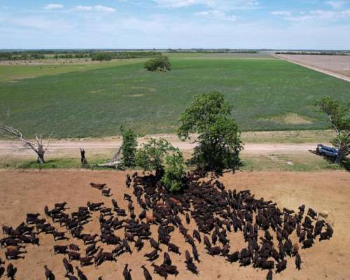 4000 Has Mixtas 235 Has Aptitud Agrícola 3765 Has Ganaderas