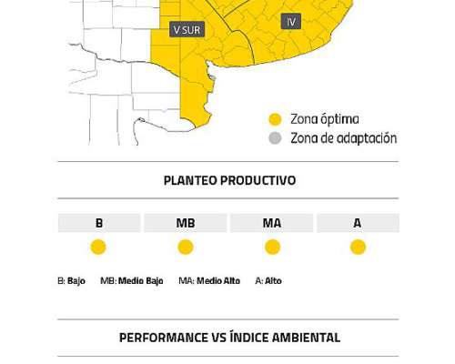 Semilla de Trigo Baguette 620 - Nidera