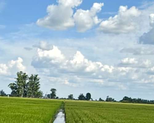 San Salvador, 721 Ha Agricolas Recrea e Invernada