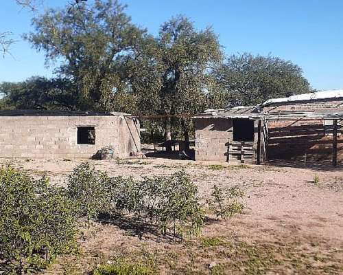 Venta de Campo en Cachi Yaco con Galpones