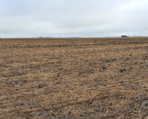 220 Ha Cabildo, Tornquist
