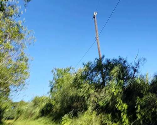 Venta Chacra en Santa ANA con Casa, Energía Eléctrica y Perf