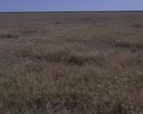 Gran Campo Ganadero 8000 Has Abundante Agua y Pasturas