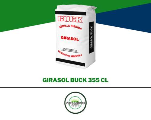 Semilla de Girasol Buck 355 CL