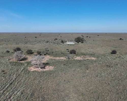 Pcia. de la Pampa - Santa Isabel 20000 Ha