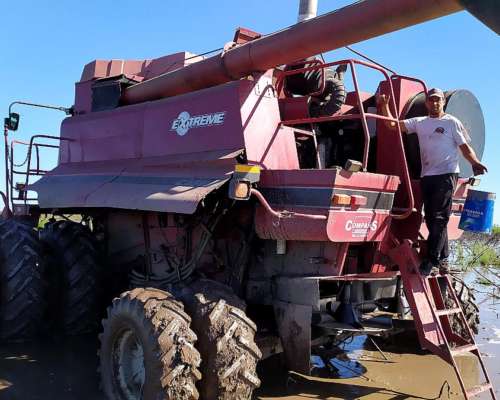 Cosecha en Barro, Agua, Dónde Otros NO Andan, YO SI.