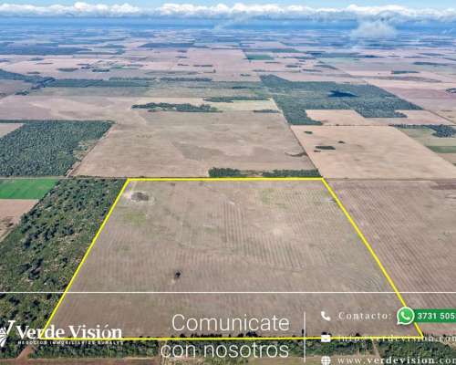 73 Has en Venta - Pcia del Chaco, las Breñas