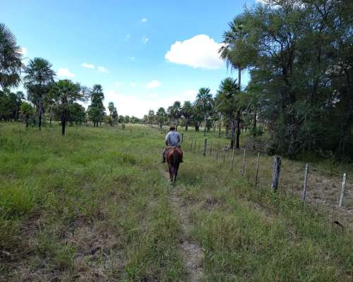 Oportunidad Campo Ruta 3, C/luz, 47 km Pirané Y150 de Fsa.