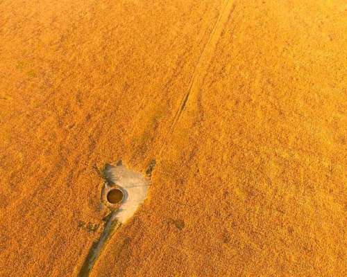 Campo en Venta en Colonia Castelar, Santa FE