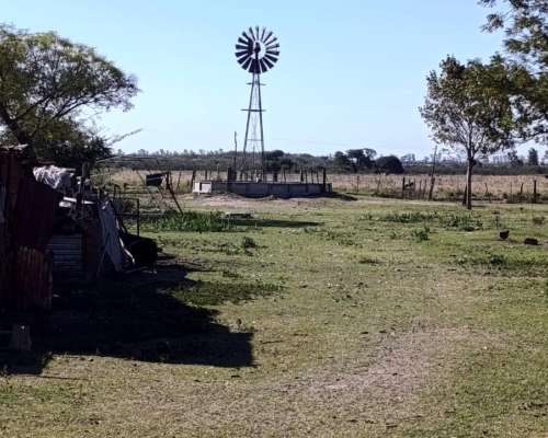 Campo 74 Ha – Pilar, Santa FE – Apto Tambo y Ganadería