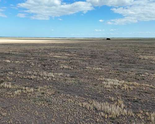 700 Hectáreas Pehuenco, BS. AS.