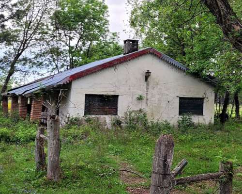 225 Ha en Ubajay - Dto. Colón. Entre Ríos
