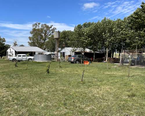 Chacra 8 Hectáreas Concepción del Uruguay