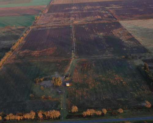 La Pampa Realicó Gran Campo