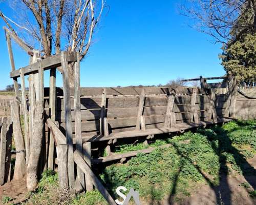 Se Vende Campo Ganadero de 415 en General Acha, la Pampa
