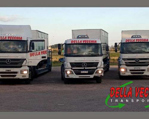 Servicio de Transporte de Maquinarias - Carretones