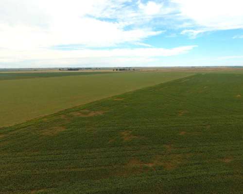 Pcia. de Cordoba - San Marcos SUD 770 Has