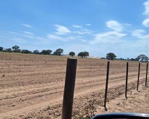 Brea Pozo, 613 Has Mixto