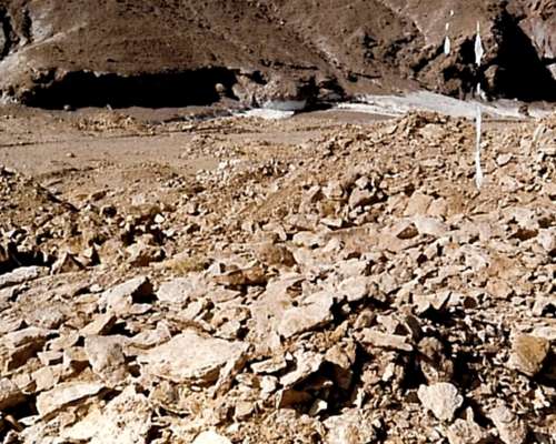 33.000 Has en Tinogasta, Catamarca, Argentina