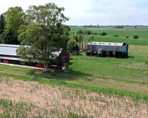 67,50 Has. Campo Agrícola con Casco en Baradero