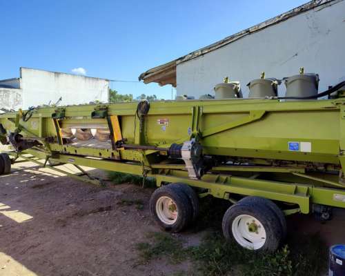 Allochis Xilomen 16 a 52